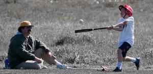 photo by Mike Baird via flickr