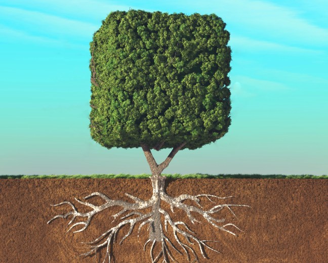 square tree with roots