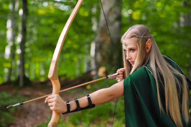 fantasy elf archer