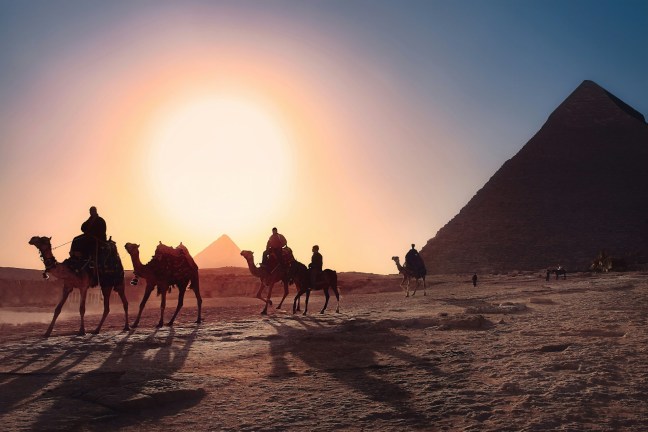 caravan in Egyptian desert