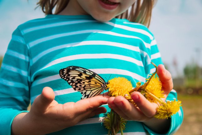 young girl holding a butterfly