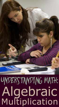 Understanding-Algebra